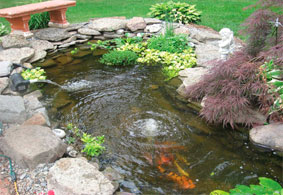 dobór dmuchawy membranowej