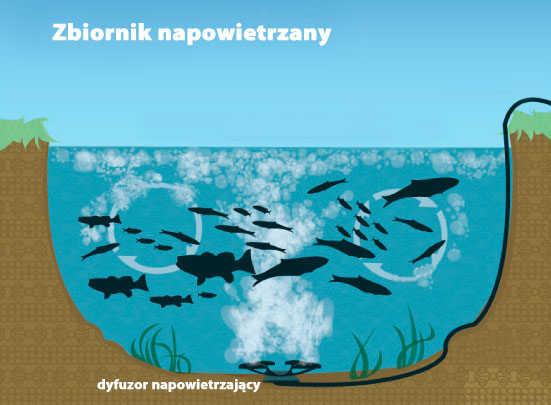 Napowietrzanie stawu